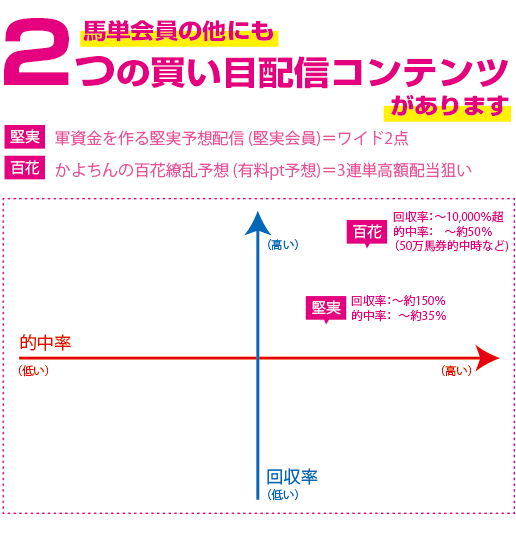 有料コンテンツの分類その1