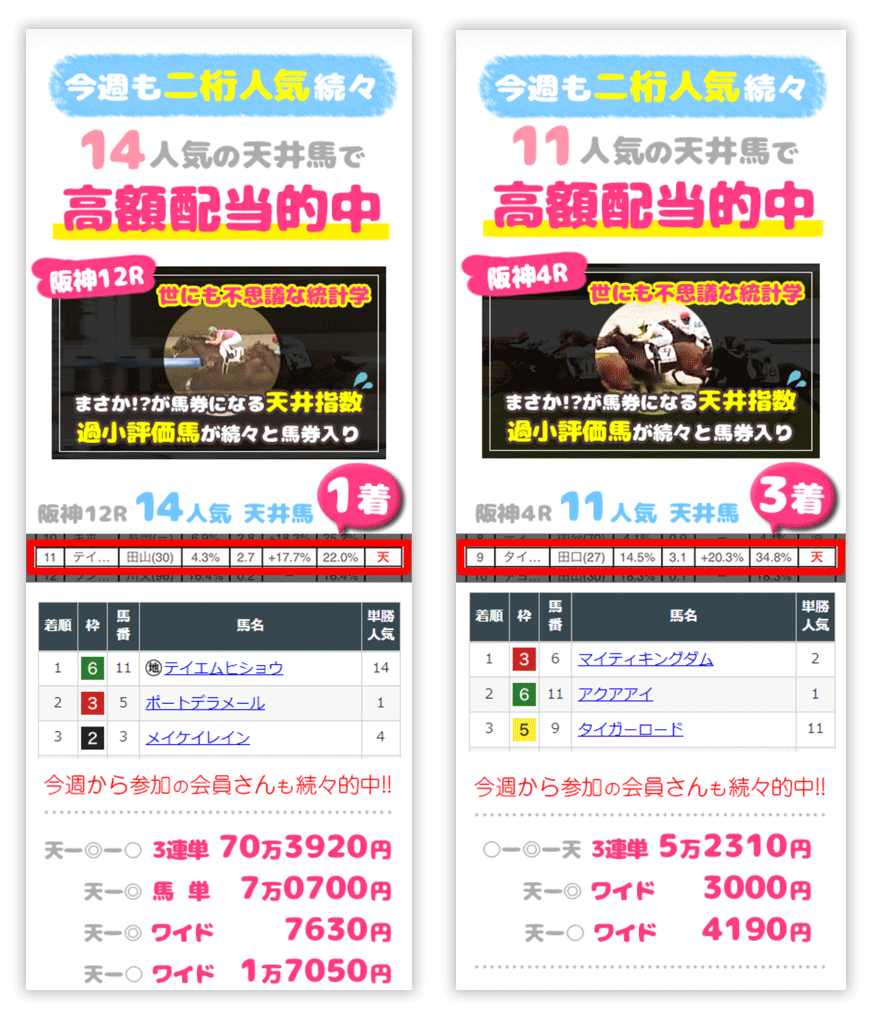 天井馬の的中その１